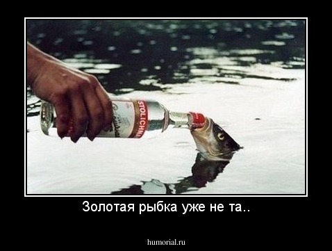 Золотая рыбка уже не та..