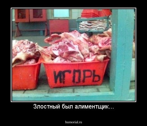 Злостный был алиментщик...