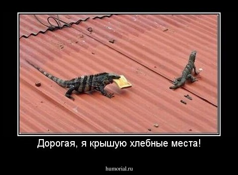 Дорогая, я крышую хлебные места!