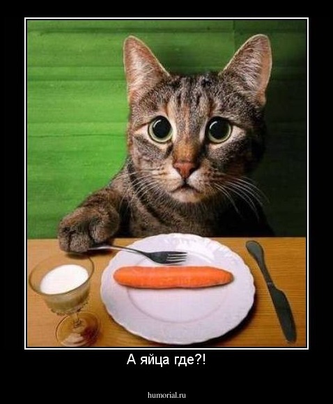 А яйца где?!