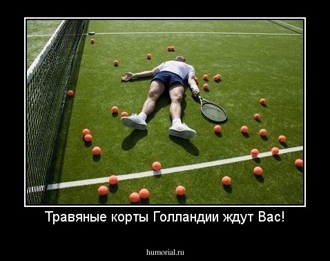 Травяные корты Голландии ждут Вас!