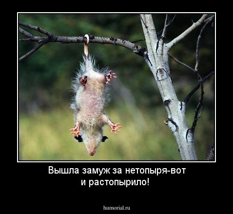 Вышла замуж за нетопыря-вот и растопырило!