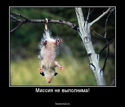 Миссия не выполнима!