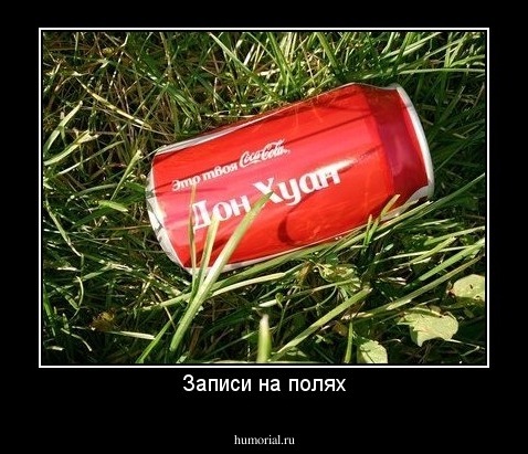 Записи на полях