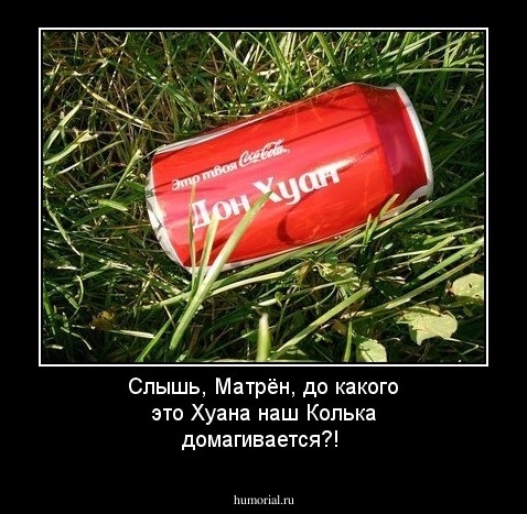 Слышь, Матрён, до какого это Хуана наш Колька домагивается?!