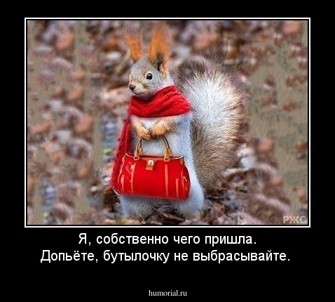Я, собственно чего пришла. Допьёте, бутылочку не выбрасывайте.