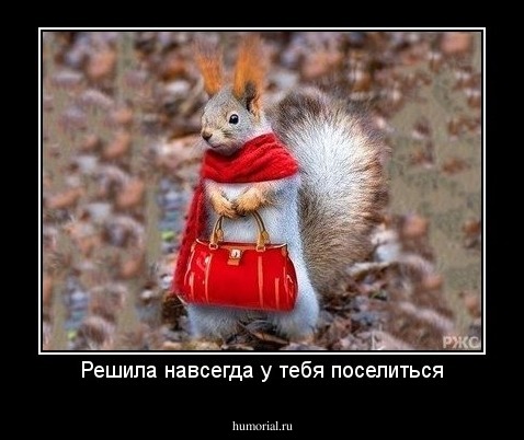 Решила навсегда у тебя поселиться