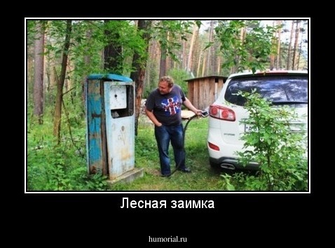 Лесная заимка