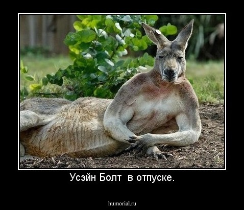 Усэйн Болт  в отпуске.