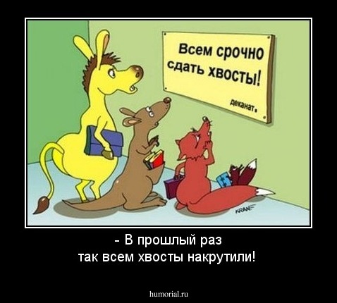 - В прошлый раз так всем хвосты накрутили!