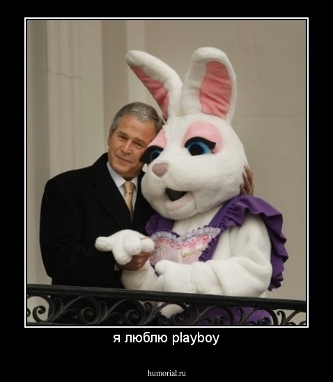 я люблю playboy