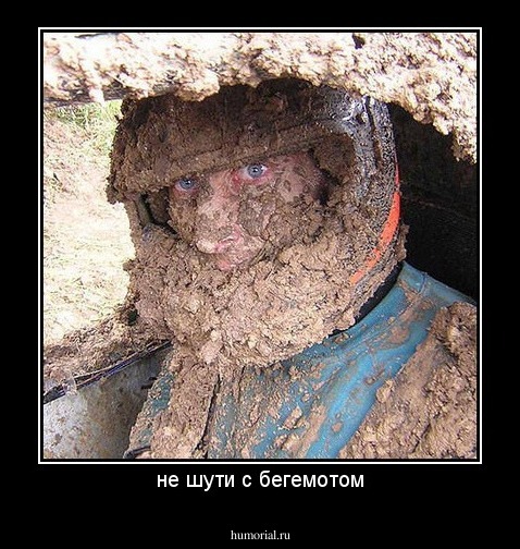 не шути с бегемотом