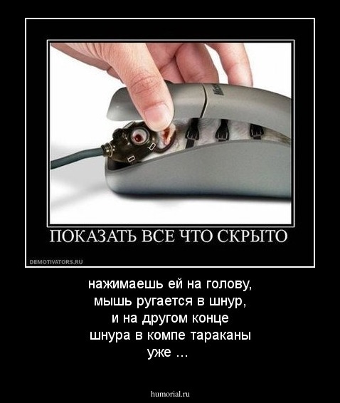 нажимаешь ей на голову, мышь ругается в шнур, и на другом конце шнура в компе тараканы уже ... 