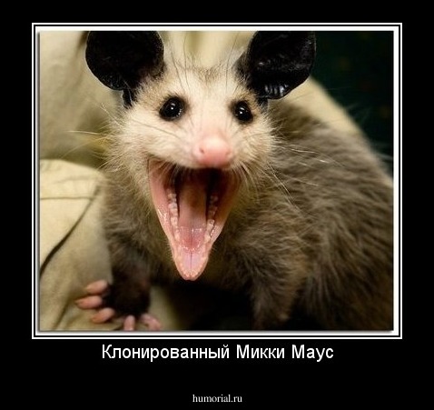 Клонированный Микки Маус