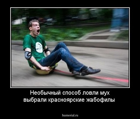 Необычный способ ловли мух выбрали красноярские жабофилы