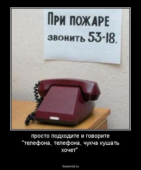просто подходите и говорите "телефона, телефона, чукча кушать хочет"