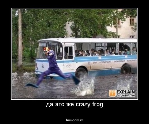 да это же crazy frog