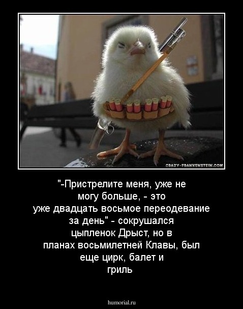 "-Пристрелите меня, уже не могу больше, - это уже двадцать восьмое переодевание за день" - сокрушался цыпленок Дрыст, но в планах восьмилетней Клавы, был еще цирк, балет и гриль
