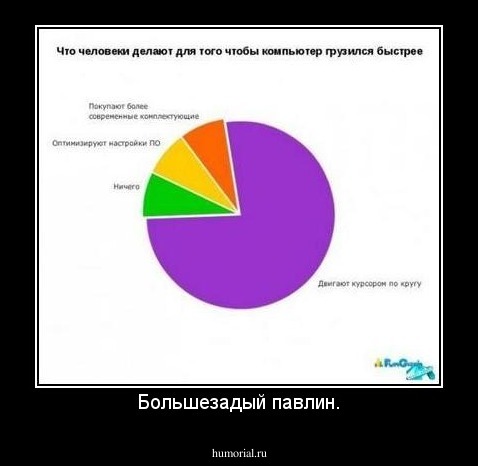 Большезадый павлин.