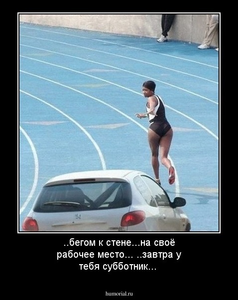    
                  ..бегом к стене...на своё рабочее место...
                          ..завтра у тебя субботник...