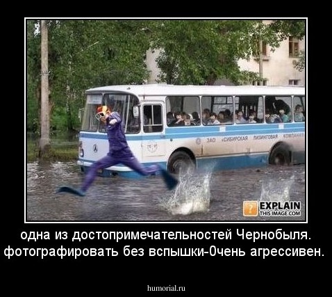 одна из достопримечательностей Чернобыля.
фотографировать без вспышки-0чень агрессивен.