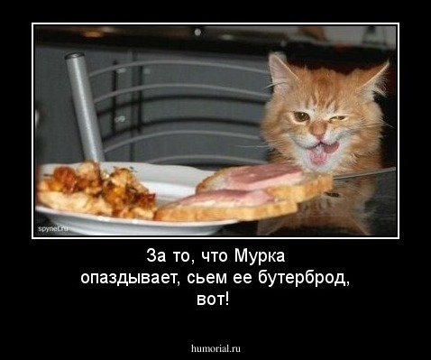 За то, что Мурка опаздывает, сьем ее бутерброд, вот!