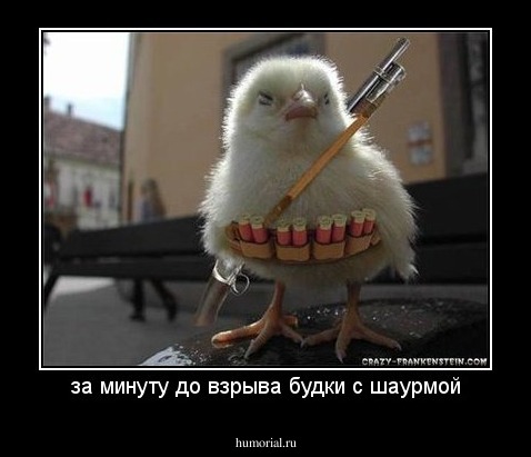 за минуту до взрыва будки с шаурмой