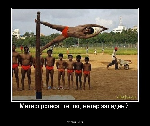 Метеопрогноз: тепло, ветер западный.