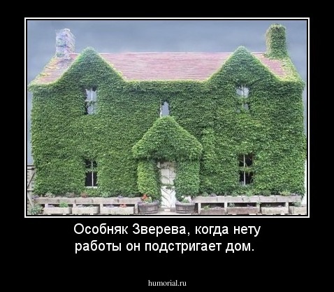 Особняк Зверева, когда нету работы он подстригает дом.