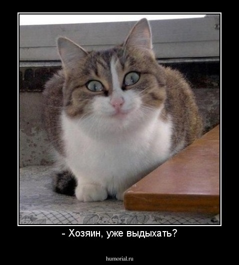 - Хозяин, уже выдыхать?