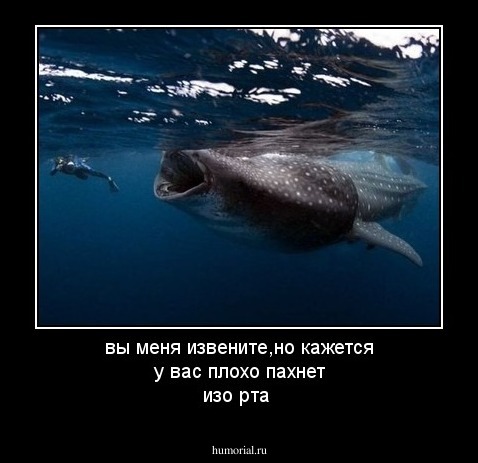 вы меня извените,но кажется у вас плохо пахнет изо рта