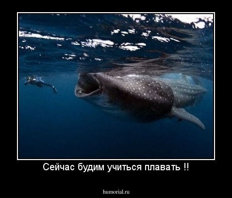 Сейчас будим учиться плавать !!