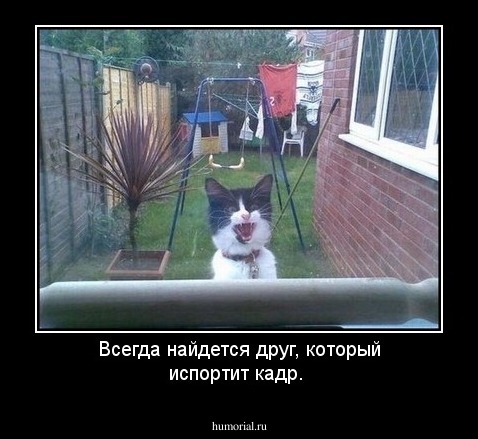 Всегда найдется друг, который испортит кадр. 