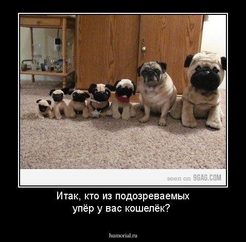 Итак, кто из подозреваемых упёр у вас кошелёк?