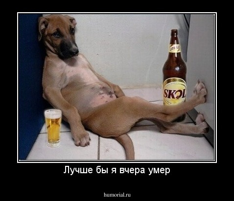 Лучше бы я вчера умер