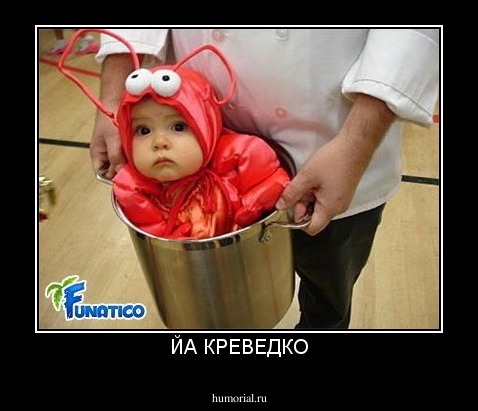 ЙА КРЕВЕДКО