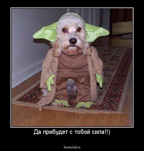 Да прибудет с тобой сила!!)