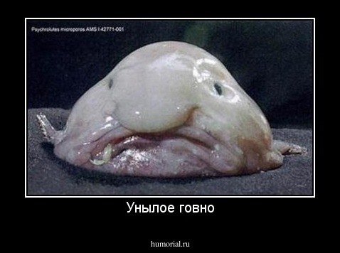 Унылое говно