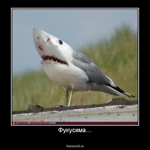 Фукусима...