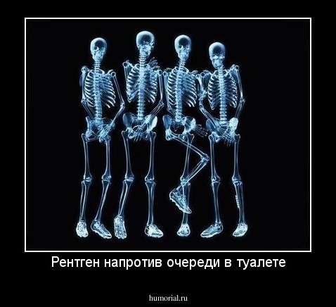 Рентген напротив очереди в туалете
