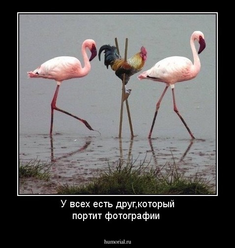 У всех есть друг,который портит фотографии