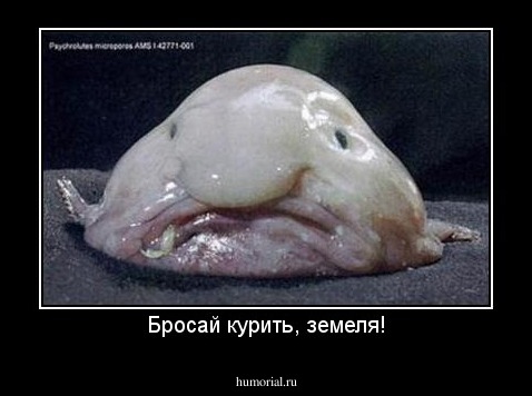 Бросай курить, земеля!