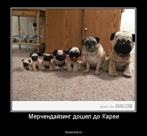 Мерчендайзинг дошел до Кареи