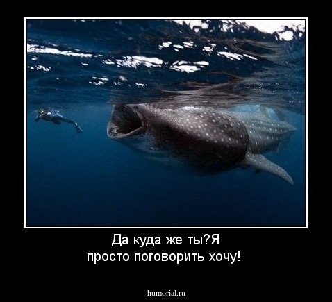 Да куда же ты?Я просто поговорить хочу!