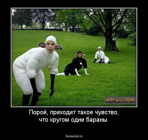 Порой, приходит такое чувство, что кругом одни бараны