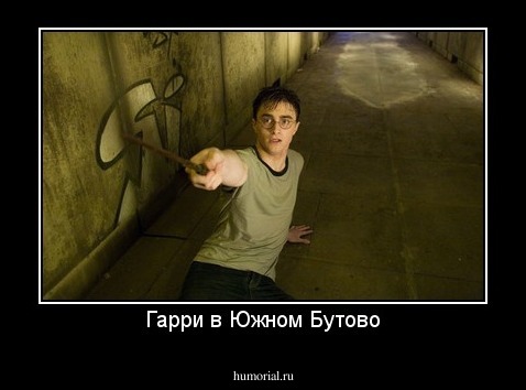 Гарри в Южном Бутово
