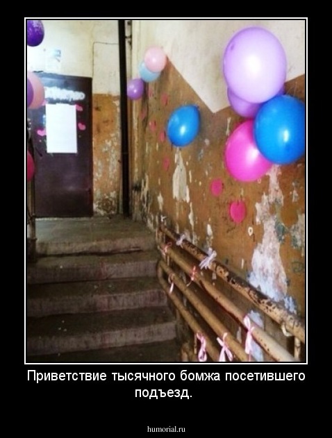 Приветствие  тысячного бомжа посетившего подъезд.