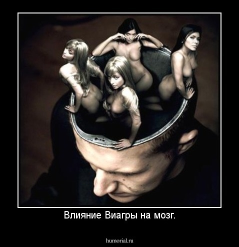 Влияние Виагры на мозг.