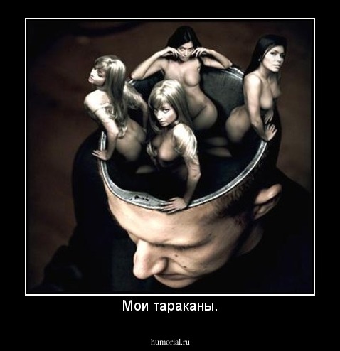 Мои тараканы.