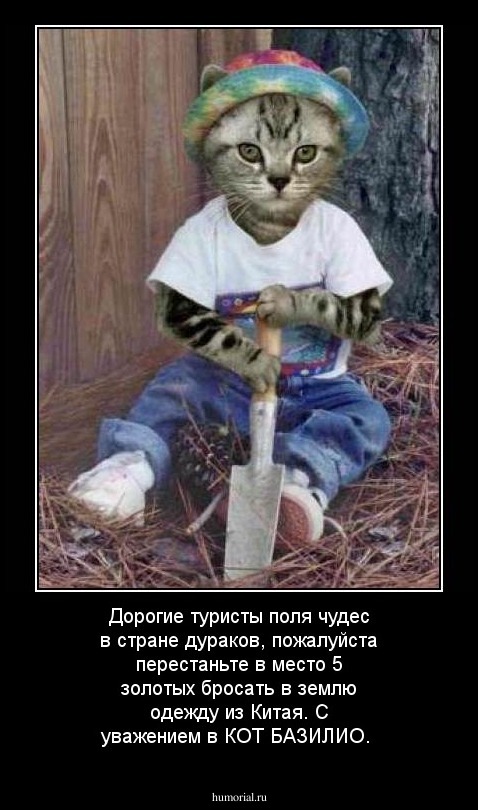 Дорогие туристы поля чудес в стране дураков, пожалуйста перестаньте в место 5 золотых бросать в землю одежду из Китая. С уважением в КОТ БАЗИЛИО.